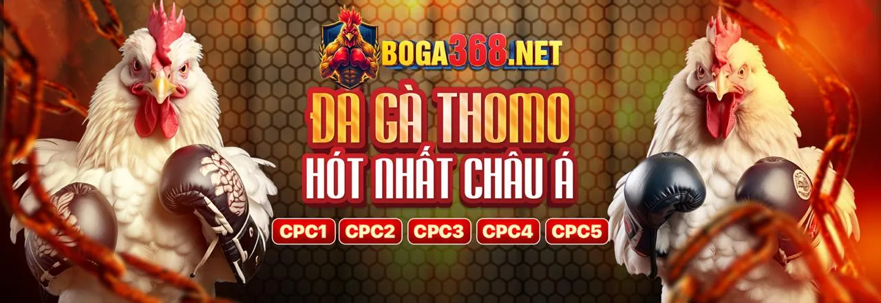 Tổng quan các loại khuyến mãi hấp dẫn tại tải bty1267