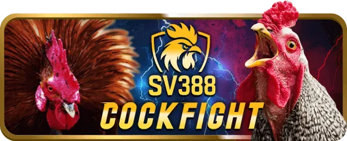 Đá gà trực tuyến bty1267