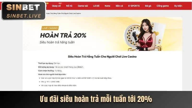 Thông báo khuyến mãi và sự kiện đặc biệt từ BTY1267